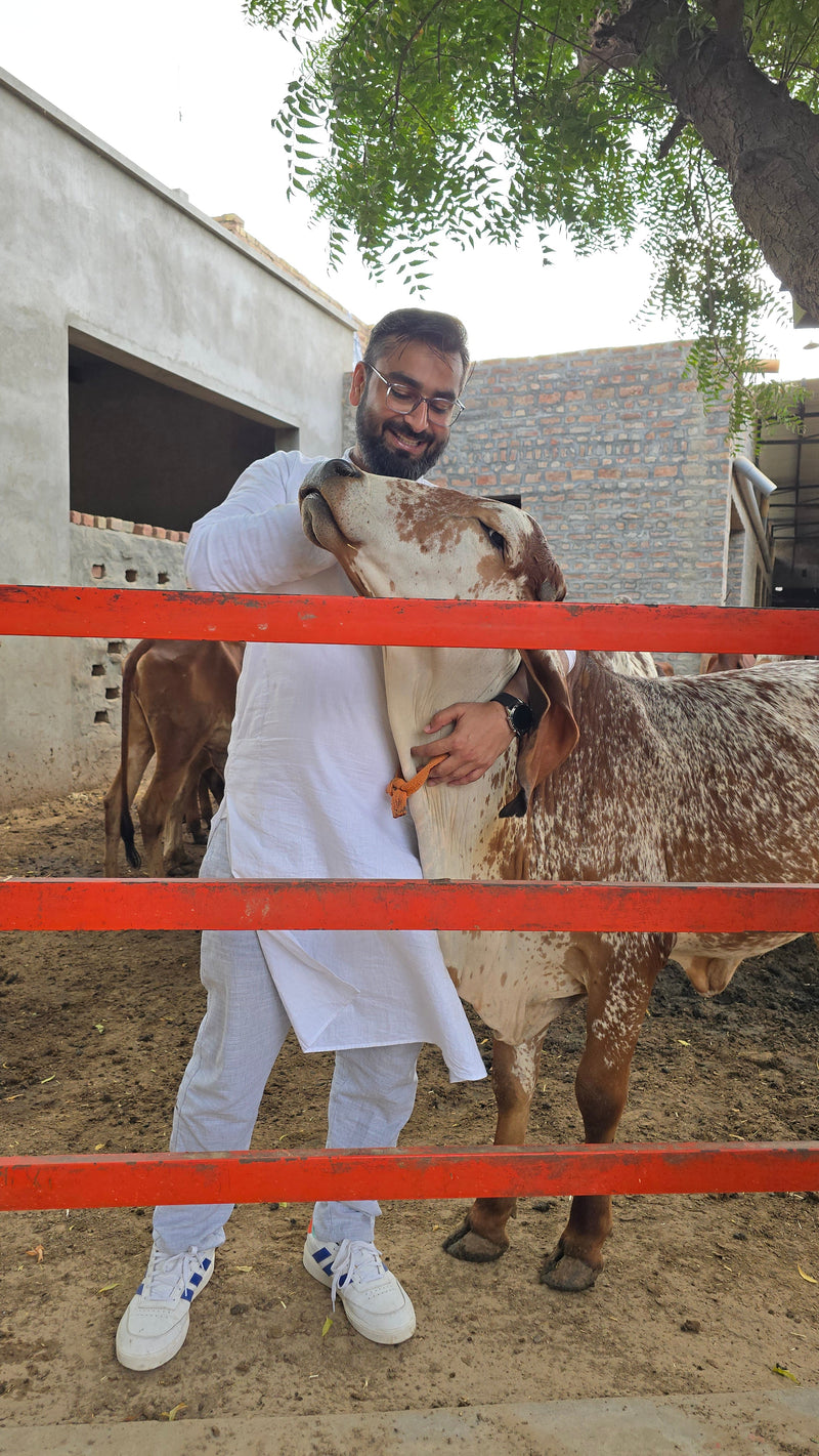 A Heartfelt Embrace: The Secret Behind Ekaris’ Pure Ghee [Alok, Noida]