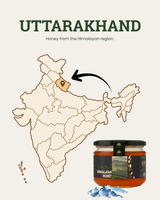 Organic Himalayan Honey Jar | Best Honey in India
