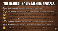 Best Honey in India - Ekaris Natural Honey Making Process from Nectar Collection to Bottling