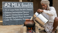 Ekaris A2 Cow Ghee A2 Milk Benefits Beta Casein No BCM7 - Best A2 Cow Ghee in India