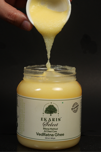 Creamy Ekaris Select VedRatna Bilona Method A2 Desi Cow Ghee being poured into open container jar